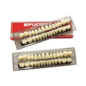 56 Pieces False Teeth Acrylic Resin Denture Kit – Denture Tooth Replacement Set for DIY, Dental Lab, or Horror Teeth Prop – Durable Resin False Teeth (23 A3 Shade)