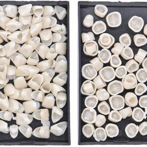 Angzhili 2 Box Dental Temporary Crown Veneers – Tooth Cap Crowns for Front & Back Teeth, Natural-Looking Dental Repair & Protection, Professional Dental Supplies